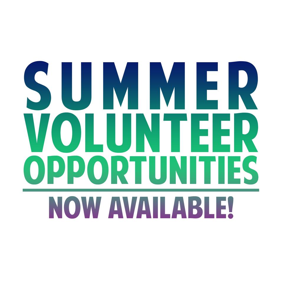Summer Volunteer Opportunities Youth Central
