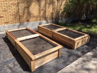 Two wooden garden beds filled with soil
